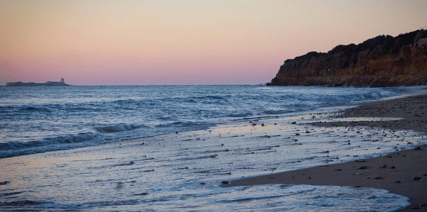 barrosa
