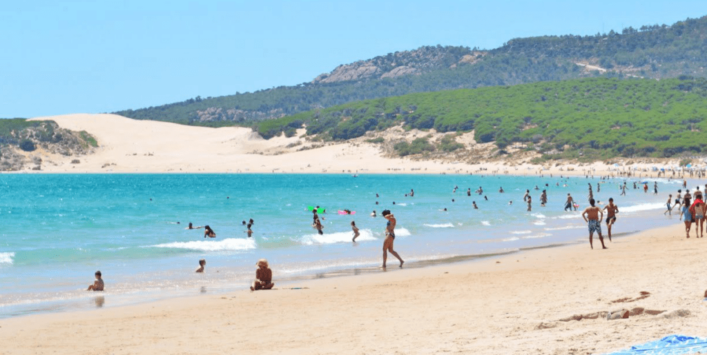 bolonia