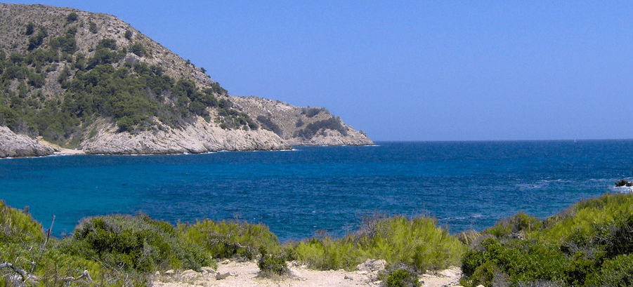 agulla
