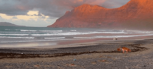 famara