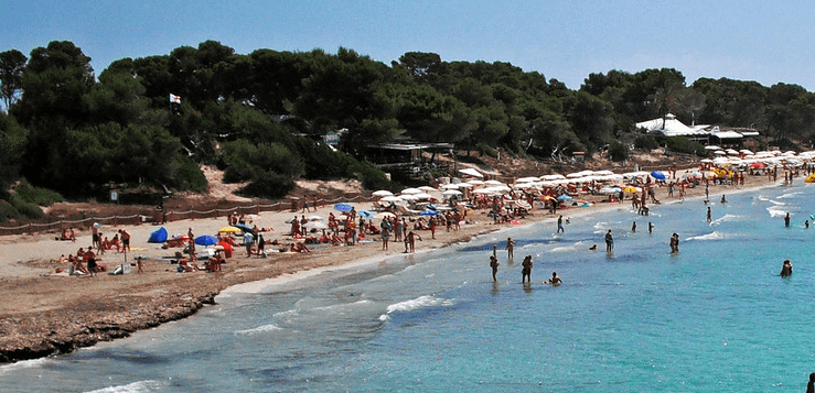 ses salines